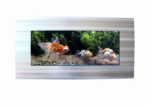 wall-handing Smart aquarium(2'x3' Black Glass)